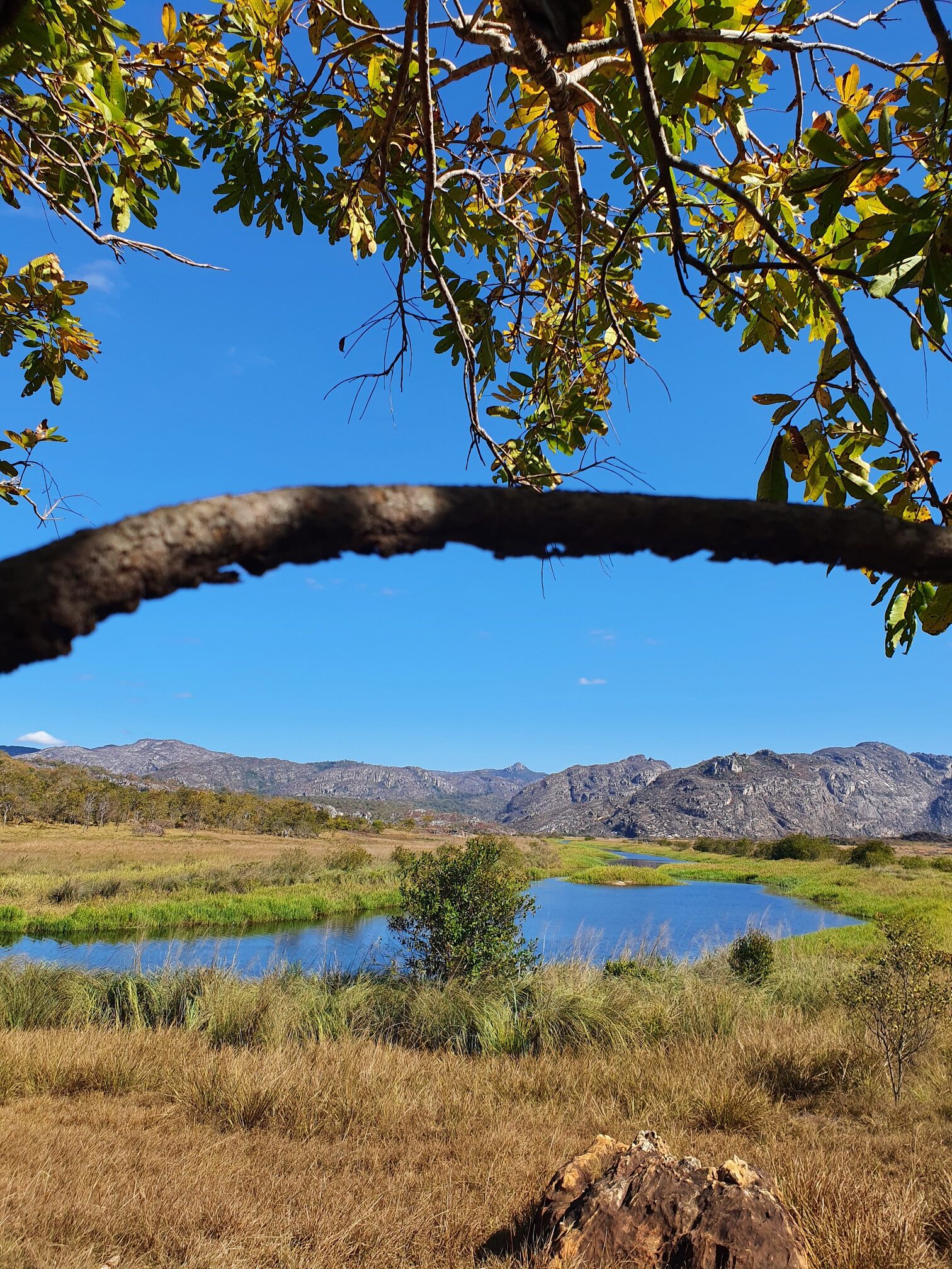 Parque Nacional das SempreVivas o parque que nem o Google conhece